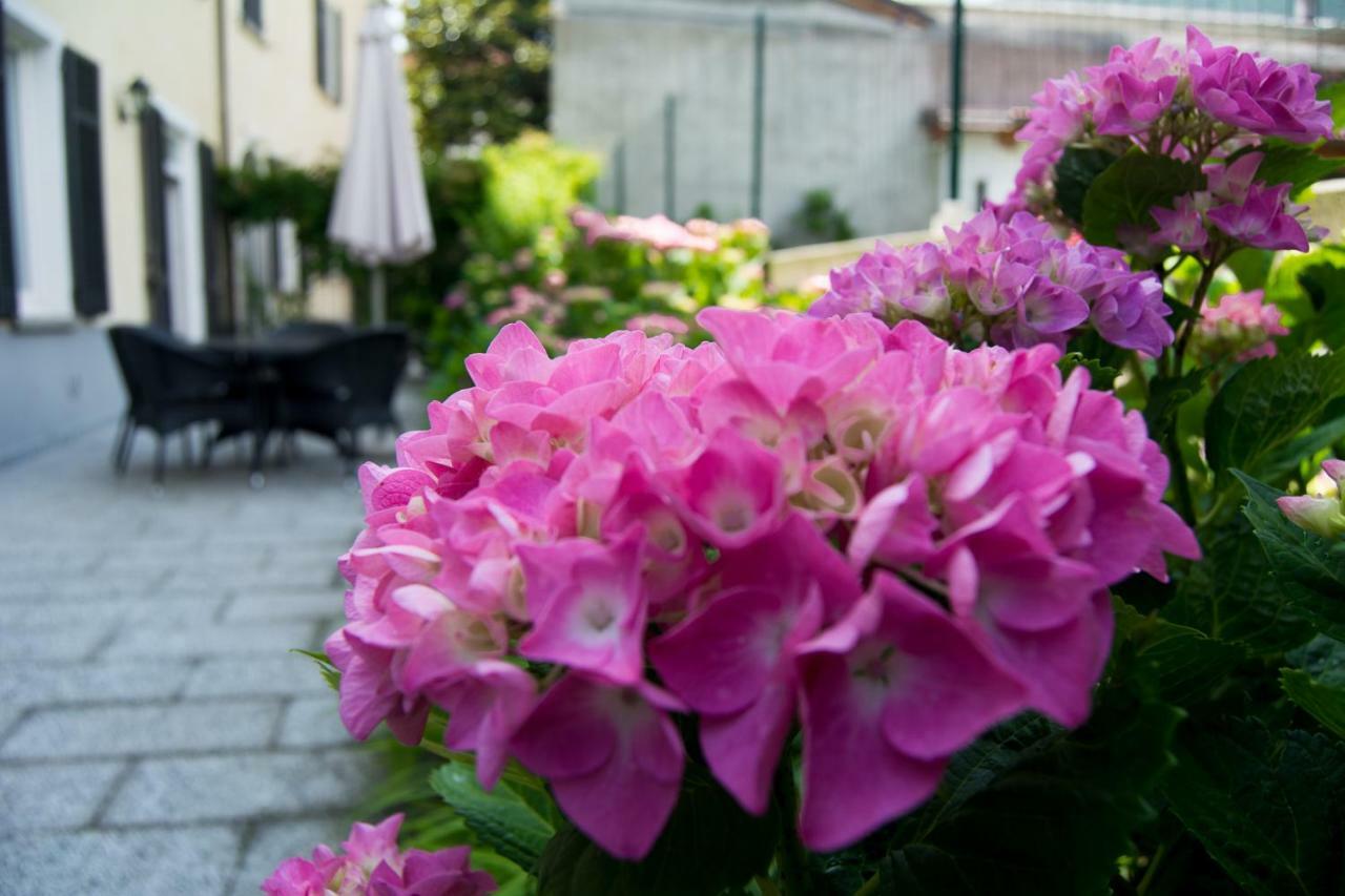 Apartmán Giardino Delle Ortensie Cannobio Exteriér fotografie